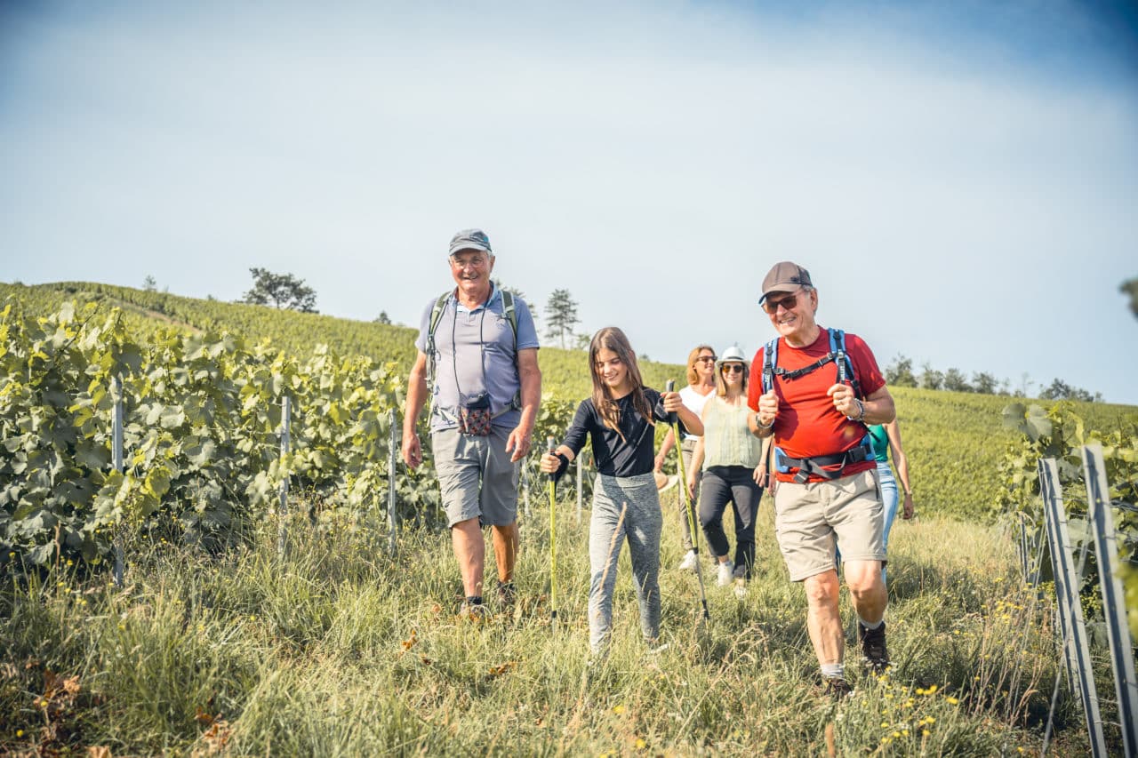 groupe de personnes randonnant dans les vignes